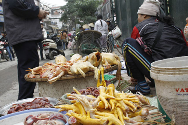  Đặc điểm của gà Trung Quốc, thịt dai, thơm, xương cứng nên thường được bán cho các quán phở, các chợ trong nội thành Hà Nội. Theo các thương lái, gà Trung Quốc được mua với giá 5 ngàn đồng/con, nếu làm sạch đem bán 30 ngàn/kg.