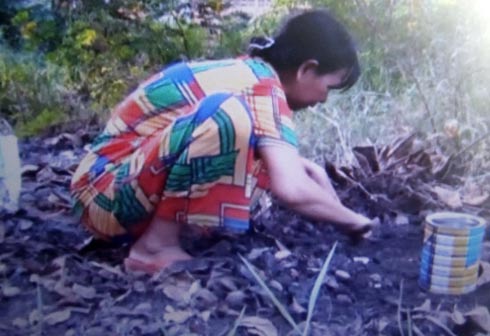 Chị Nguyễn Thị Kim Anh với công việc bắt gián trong suốt 15 năm qua