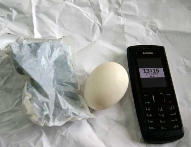 Sau 4 giờ ủ trứng trong miếng dán giữ nhiệt, chúng tôi lấy một quả trứng để xem kết quả, lúc này vỏ trứng đã rất nóng.