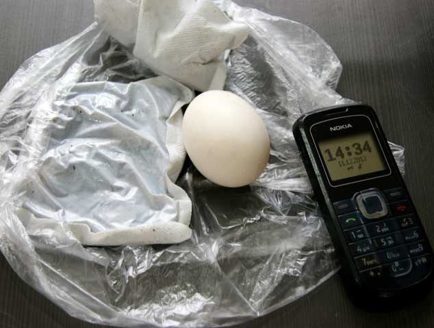 Sau 5 giờ 30 phút, tiếp tục bóc quả trứng thứ 2 để kiểm chứng.