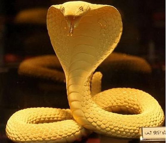 Con rắn làm từ vàng nặng hơn 93g được bán với giá 50.000 nhân dân tệ (tức hơn 150 triệu đồng) ở Quý Châu (Trung Quốc).