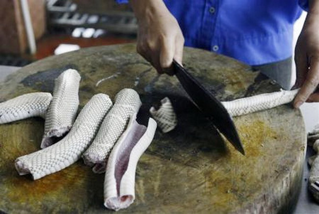 Tuy nhiên, ở Việt Nam các món ăn chế biến từ rắn rất được yêu thích.
