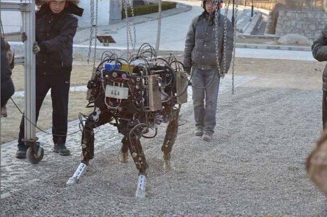 Robot chó của Trung Quốc thử nghiệm.