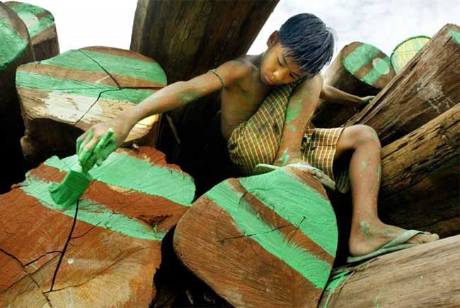 Một cậu bé người Myanmar đang đánh dấu các khúc gỗ teak để xuất khẩu - Ảnh: Paula Bronstein/ Getty Images.