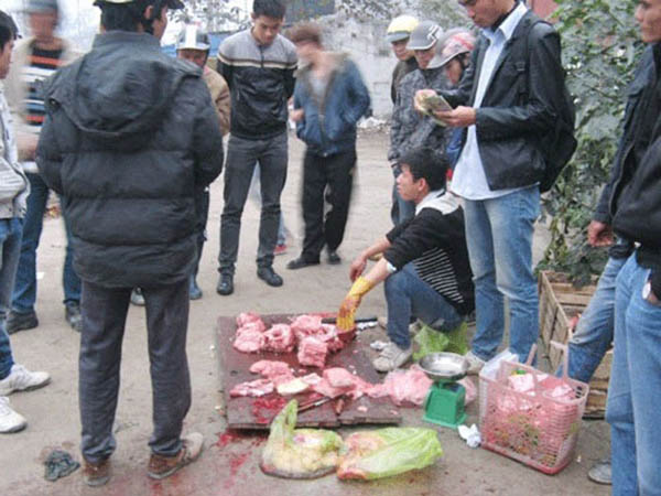 Giữa tháng 1/2013, trên đoạn đường Kim Giang (Thanh Xuân – Hà Nội) xuất hiện một nhóm người đem hàng chục con cá sấu đổ ra ven đường rồi tiến hành giết mổ, lột da… khiến hàng trăm người dân đi đường hiếu kỳ dừng lại xem.Thịt được bán với giá từ 180.000 – 200.000 / kg