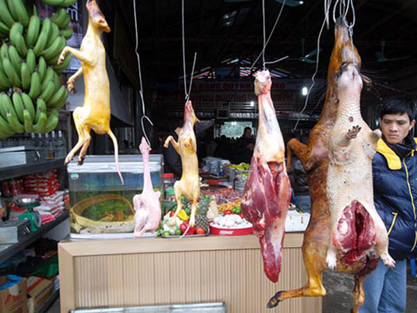 Đến chùa Hương mùa chính hội, thịt thú rừng được bày bán công khai, nhà hàng nào cũng có sẵn đặc sản như nhím, chũi, lợn rừng, hoẵng, nai, gion … để phục vụ thực khách.