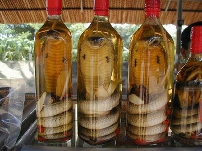 Rượu ngâm từ các loại rắn cũng rất được ưa chuộng với những lời truyền tai nhau uống vai sẽ có thể 