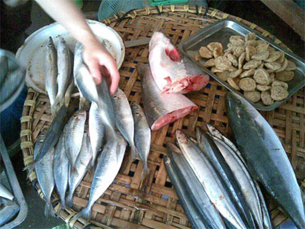  Thịt lợn, gà đã vậy, theo nhận định của nhiều chuyên gia, hiện nay chúng ta đang ăn phải cá ướp phân ure rất độc hại. Loại cá biển bán ngoài chợ thường   được cấp đông, có những con còn nguyên đá nhưng khi mua về nhà rán lên ăn thấy rất mặn. Với những loại cá này, khi mua vẫn nhìn thấy cá cứng, mang   vẫn đỏ nhưng khi rán lên thì bị mủn, không có độ ngọt hay độ thơm tự nhiên và cá có vị mặn, ăn vào dễ nổi mề đay.