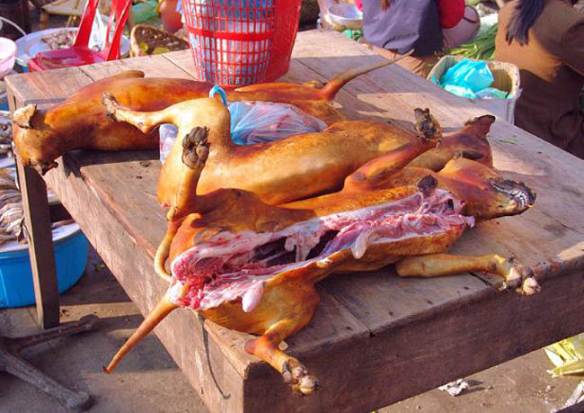 Ở Việt Nam, không khó khăn gì để kiếm các quán thịt chó. Thịt chó lại là món đặc sản rất được ưa chuộng. Thịt chó là loại thịt được tiêu thụ nhiều thứ 4 ở Việt Nam sau thịt lợn, bò và gia cầm.