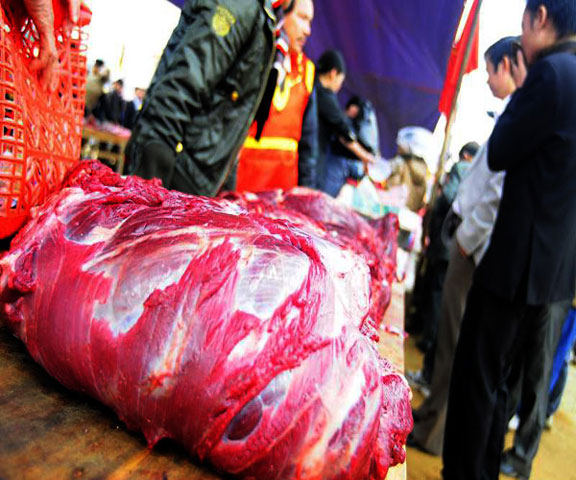 Thịt trâu chọi còn được bán với giá rất cao, một kg thịt trâu chọi có giá dao động từ 250.000 đồng - 600.000 đồng