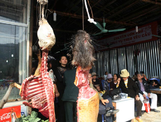 Từ mùng 6 Tết (tức 15/2/2013), Lễ hội chùa Hương (huyện Mỹ Đức, Hà Nội) chính thức khai hội. Tình trạng bán thịt thú rừng ngay cổng chùa đã được nói tới nhiều, nhưng tới hẹn lại lên, cứ khai hội là thịt thú rừng được bày bán tràn lan. 