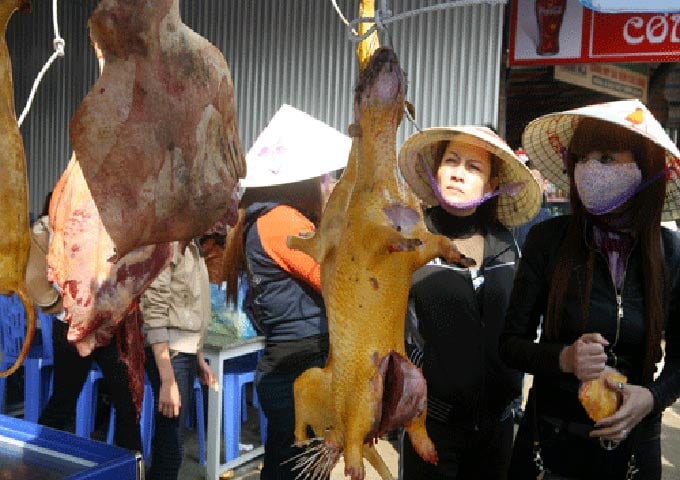 BTC lễ hội Chùa Hương từng khẳng định có tình trạng lấy thịt chó, thịt lợn giả làm thịt thú rừng bán cho du khách. Nhưng nhìn những con vậy này sẽ chẳng ai tin vào điều đó.