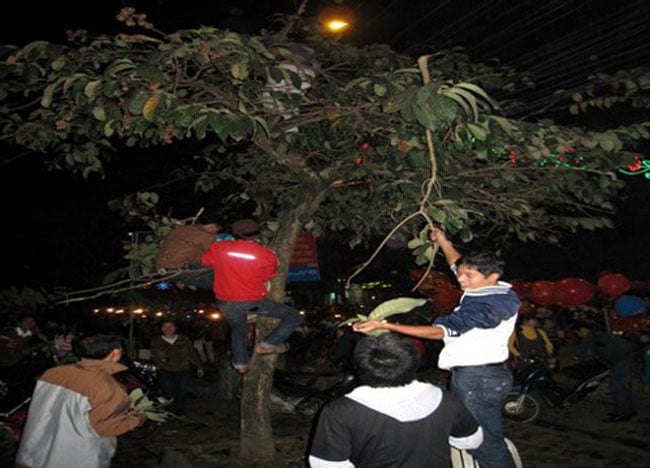 Tại nhiều nơi người dân còn chọn cách hái lộc chùa bằng cách bẻ cành cây. Cành càng to  lộc càng nhiều.  Cũng có những trường hợp ra chùa hái lộc, nhưng phải chọn lộc đẹp nên “chịu khó” trèo lên cây cao giữa đêm giao thừa để chọn rồi “bẻ lộc”.