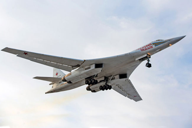   Tu-160 có cùng kiểu cánh hỗn hợp và thay đổi hình dạng, với góc nghiêng tùy chọn từ 20° tới 65°. Phía trước và sau cánh có các tấm cánh lái và có hệ thống kiểm soát đường bay. 