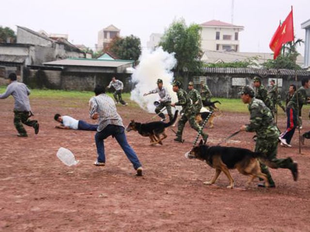 Cũng vì lẽ ấy mà lính “luyện khuyển” đa phần là lính trẻ, tuổi dưới 35, có chút sức vóc và dẻo dai mới kham nổi công việc.