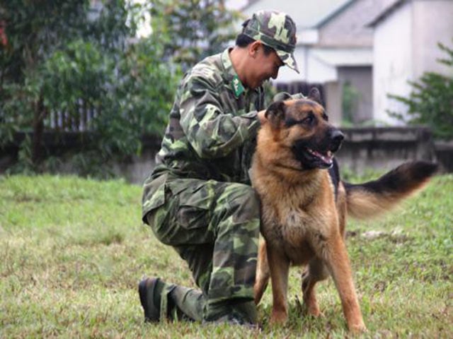 Rex, chú chó “khủng” nhất đơn vị luôn được quan tâm đặc biệt