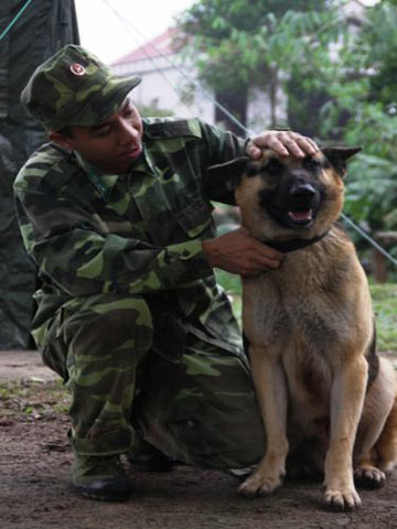 Chó nghiệp vụ và lính luyện khuyển có một mối quan hệ khăng khít, khó tách rời