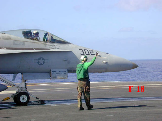 F-18 Hornet nằm trong số những chiếc máy bay đầu tiên sử dụng nhiều màn hình hiển thị đa chức năng, với chỉ một nút bấm cho phép phi công thực hiện chức năng chiến đấu hay tấn công hay cả hai. Nó là chiếc máy bay đầu tiên của Hải quân Mỹ được tích hợp các kênh điện tử số đa kênh, cho phép được dễ dàng nâng cấp.