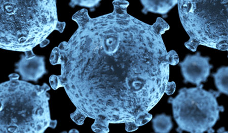 Virus HIV tấn công hệ miễn dịch