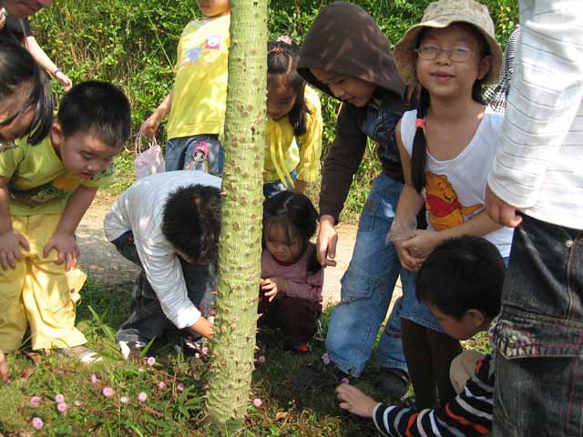 Ngay từ cái tên của mình, hoa xấu hổ đã gợi nhắc một phẩm chất cần có của con người: lòng tự trọng. Biết xấu hổ là còn lòng tự trọng, đó là điều vô cùng cần thiết, thậm chí không thể thiếu.