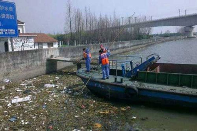 Theo Shanghaidaily.com, những xác lợn chết có thể là từ một trang trại trên một trong những nhánh sông thuộc tỉnh Chiết Giang và những con lợn chết đầu tiên được báo cáo lên chính quyền hôm thứ 5 sau khi cư dân địa phương nhìn thấy và đăng trên Weibe.