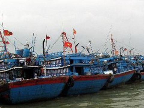 Tàu cá Việt Nam 