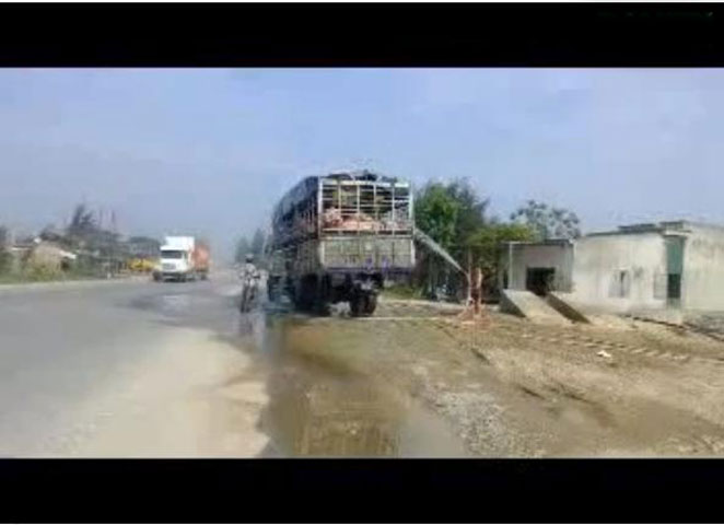 Treo biển “đổ nước mui” cho các nhà xe chạy tuyến đường dài, nhưng thực tế hàng chục hộ dân sống trên quốc lộ 1A địa bàn tỉnh Hà Tĩnh đã biến dịch vụ này thành dịch vụ tắm rửa cho lợn.