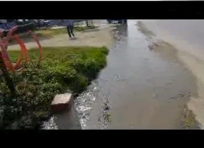 Nước tắm lợn mất vệ sinh chảy lênh láng trên mặt quốc lộ 1A