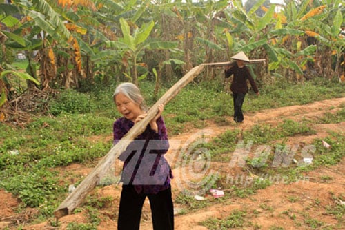 a-hang-ngan-nguoi-cung-vai-ran-la-Phunutoday.vn