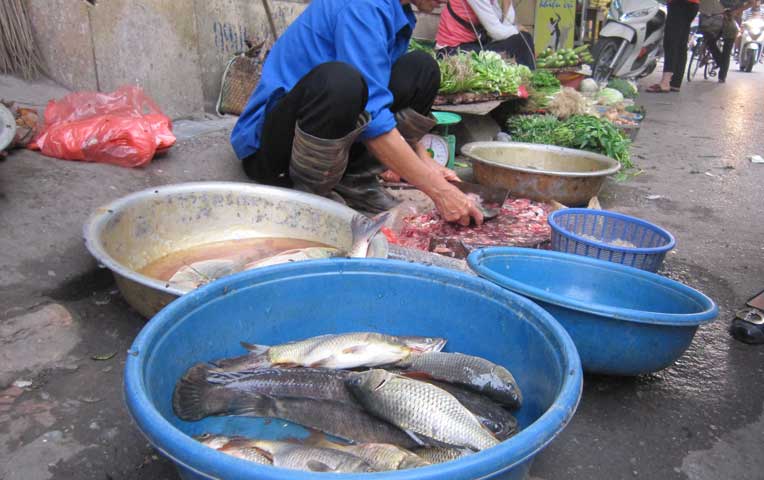 Có lẽ bây giờ để có mâm cơm sạch, hàng ngày các bà nội trợ nên cất công về chợ quê để mua thịt, cá, rau...