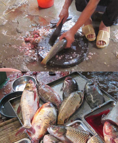 Chỗ làm cá (trái), bày bán cá ngay cạnh bên cực kỳ bẩn và tanh. Mấy bà nội trợ cũng không đứng nổi 10 phút để mua cá, thế mà ruồi muỗi cũng cám cảnh không bâu đến