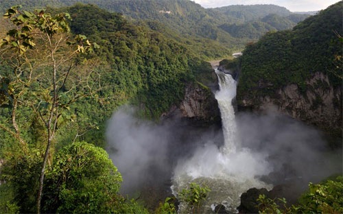 Một góc rừng nguyên sinh của Ecuador.