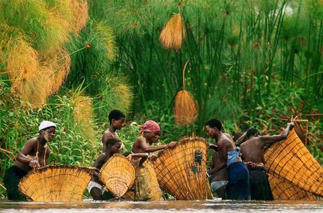 Hình ảnh những người phụ nữ địa phương đang bắt cá giữa đám lau sậy của dòng sông Okavango. Những người Kavango ở phía bắc Namibia là những người đã đặt tên cho dòng sông này. Ngoài việc cung cấp nước cho gia súc và nông nghiệp, dòng sông còn là nguồn cung cấp cá cho người dân. Các cộng đồng sống rải rác hai bên bờ sông của yếu là những người Tswana. Du lịch cũng đang trở thành một ngành mũi nhọn và giúp cho dòng sông giữ được vẻ nguyên sơ của mình.