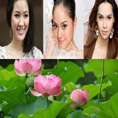 Bầu chọn đại sứ du lịch và Quốc hoa, quốc phục đang được dư luận quan tâm
