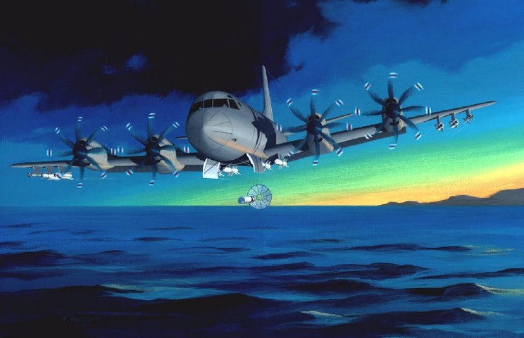 Tuy nhiên, nếu bán cho Việt Nam, máy bay P-3 Orion sẽ chỉ được trang bị các hệ thống phục vụ cho nhiệm vụ tuần tra và không bao gồm vũ khí.