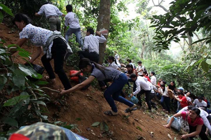 Dốc lại trơn trượt nên kiểu leo này rất nguy hiểm. Tất cả thứ gì có thể bám được đều được tận dụng.