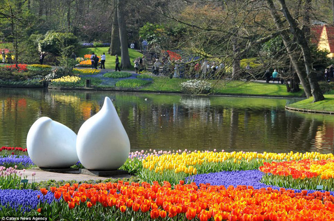Năm ngoái, khu vườn này thu hút tới 70.000 người tới thăm quan và chiêm ngưỡng các loài hoa.