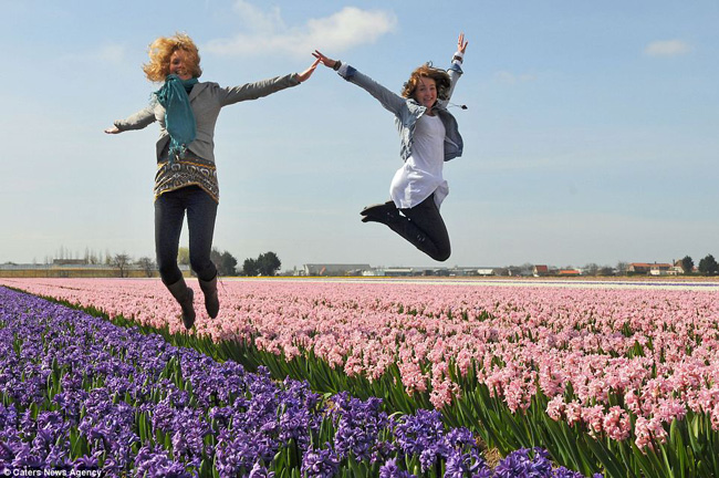 Hai người phụ nữ nhảy lên trên những luống hoa ở khu vườn Keukenhof.