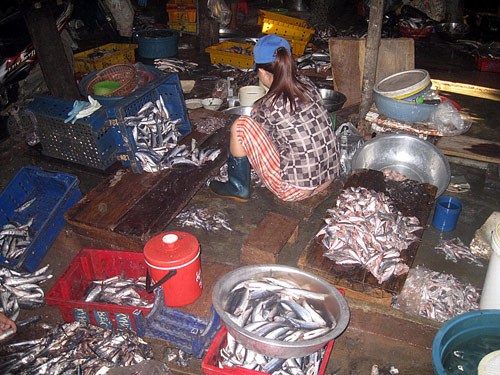 Cá ươn, cá thối bỏ la liệt dưới nền chợ (Ảnh: TN)