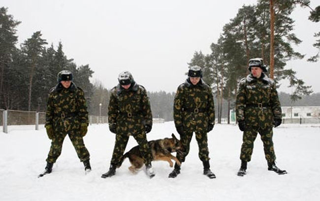 Trung tâm Huấn luyện Chó thuộc Các lực lượng Bảo vệ Biên giới ở thành phố Smorgon của Berlarus chuyên gây giống và đào tạo chó nghiệp vụ. 