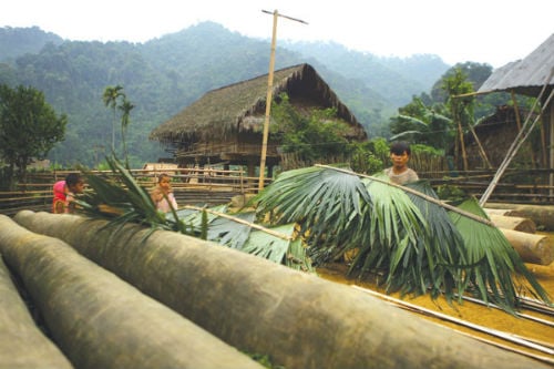 Người Đan Lai hiện sống trong các bản làng tập trung, nguyên liệu dựng nhà vẫn khai thác chủ yếu từ tự nhiên.