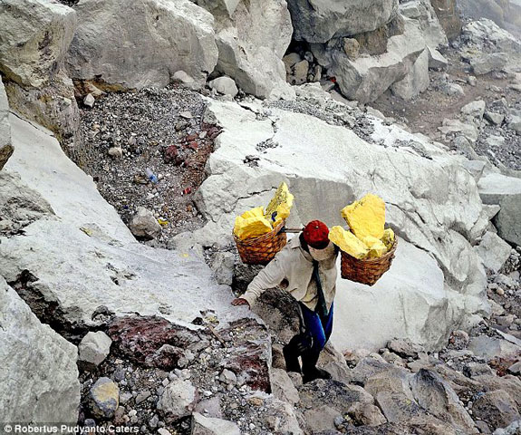 Những người khai thác lưu huỳnh phải đi trên con đường đá nhọn đầy nguy hiểm để đưa được hàng hóa ra khỏi nơi khai thác.