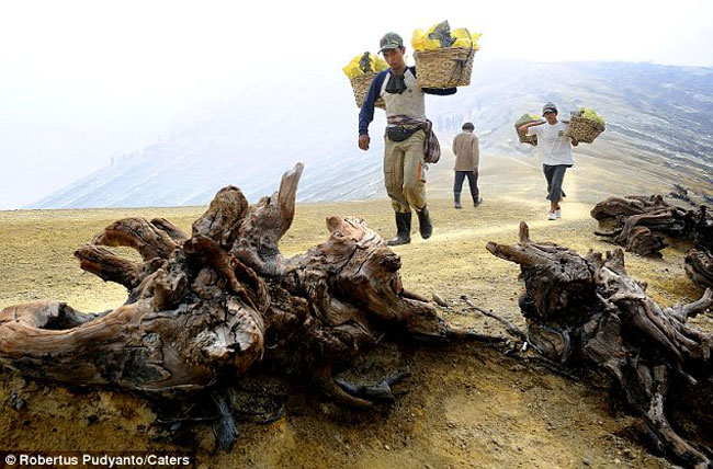 Các thợ mỏ phải đối mặt với nguy hiểm hàng ngày từ công việc của họ trong miệng núi lửa.