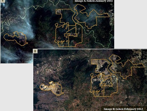 Ảnh chụp vệ tinh do Global Witness cung cấp, vào thời điểm tháng 1/2011vẫn còn rừng và tháng 2/2013 đã biến mất.