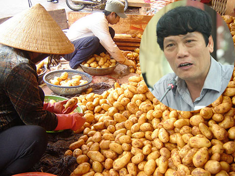 Cục trưởng Nguyễn Xuân Hồng (ảnh nhỏ) kiên định lý tưởng bảo vệ khoai tây, gừng bất chấp sức khỏe người tiêu dùng.