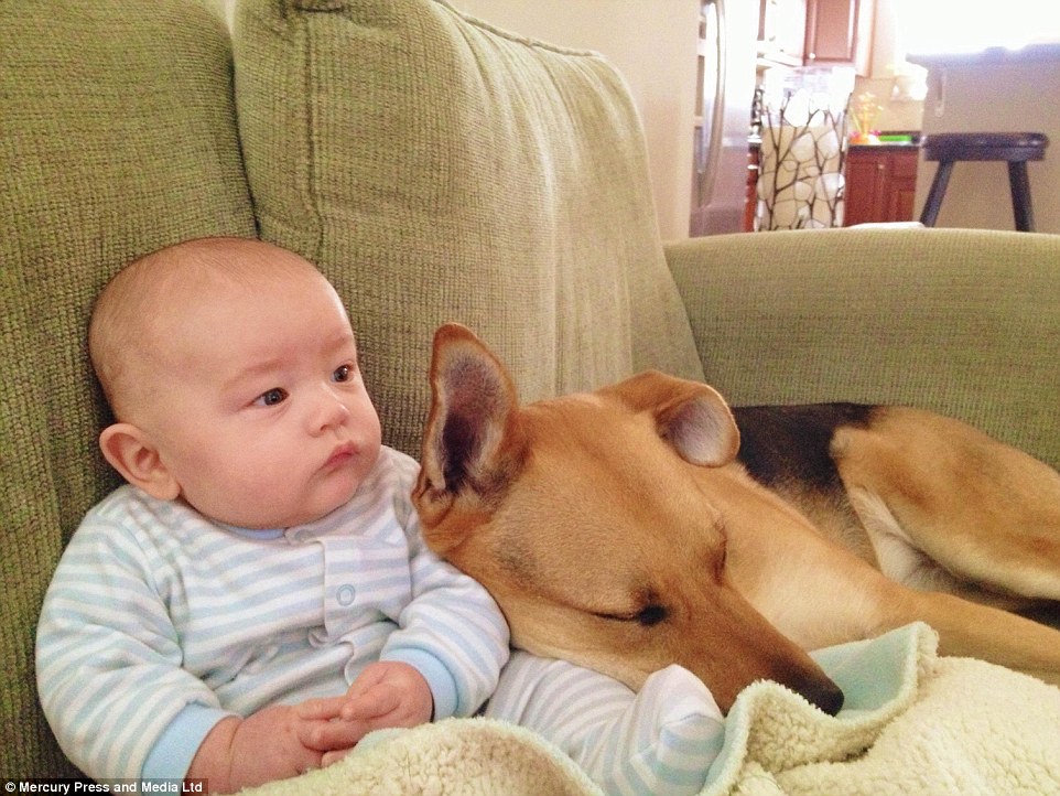 Carter và chú chó Toby có tình cảm vô cùng thân thiết từ khi cậu bé mới chào đời.