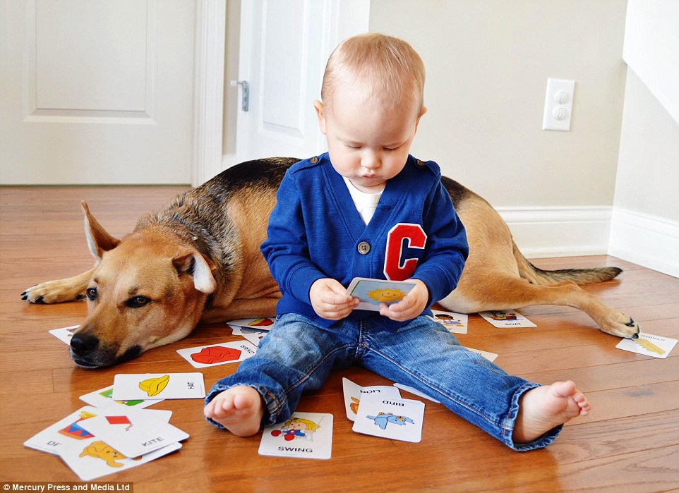 Carter chơi bài trong khi chú chó Toby nằm ngoan ngoãn sau cậu bé.