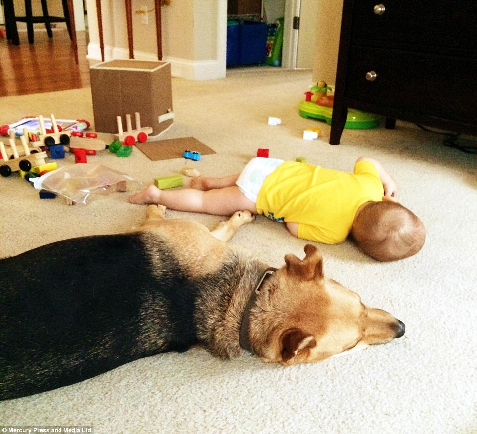 Carter và Toby lăn ra ngủ trên sàn nhà sau khi chơi mệt.