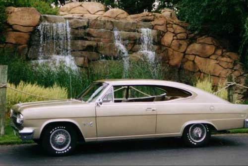 Marlin là một chiếc fastback cỡ trung của AMC được sản xuất trong thời kỳ từ 1965 - 1968. Dư luận đã có phản ứng khác nhau về mẫu xe này, nhưng theo Bob Nixon, người phụ trách thiết kế xe Jeep của Chrysler, thì Marlin quả thực là xấu xí một cách đáng hổ thẹn.