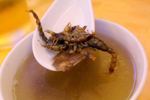 Ở nhiều vùng trên thế giới, khi chế biến món súp này, phần đuôi, nơi chứa nọc độc không bị vứt bỏ. Nhiều người cho rằng nọc độc của bọ cạp sẽ tự “bay hơi” khi được nấu chín.